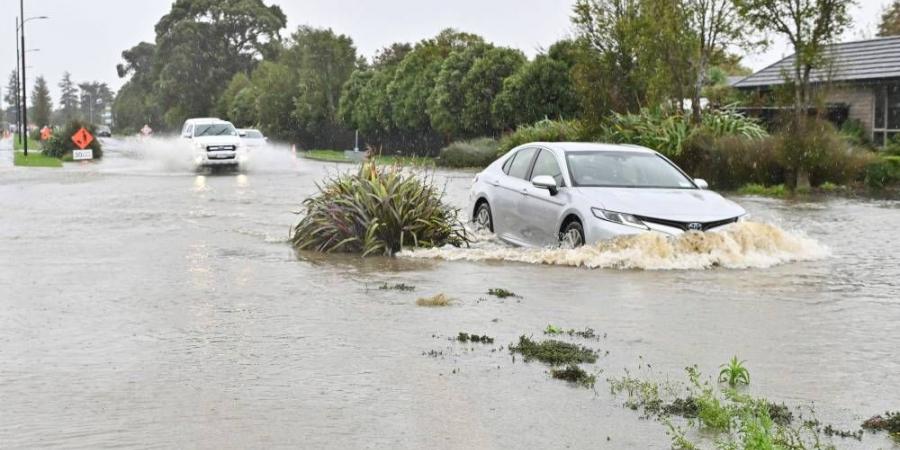 طقس عاصف في نيوزيلندا يعطل رحلات الطيران ويغلق المدارس - دليل الوطن